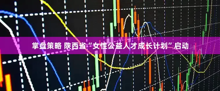 掌盘策略 陕西省“女性公益人才成长计划”启动