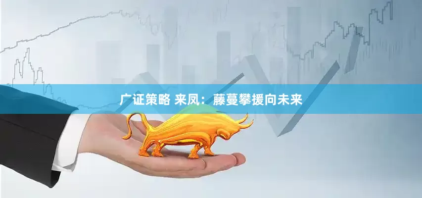 广证策略 来凤：藤蔓攀援向未来