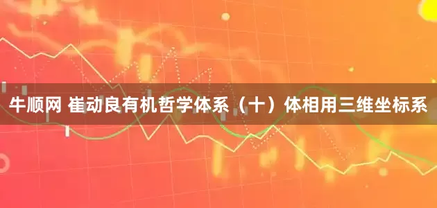 牛顺网 崔动良有机哲学体系（十）体相用三维坐标系